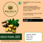 Fresh Ginger, Pudina Juice-200 Ml