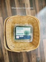 Micro-greens Wheatgrass-50 gms
