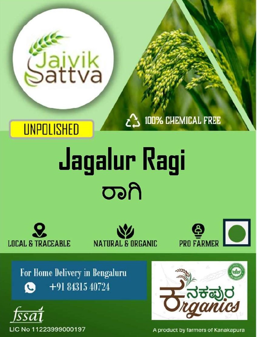 ragi_millets_front.jpg Jagalur Ragi-1 Kg - Image 1