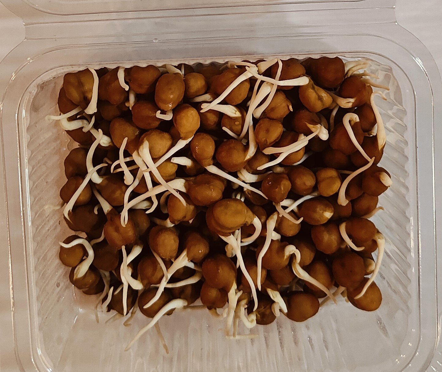 sprouts_chana.jpg Sprouts Chana-200 gms - Image 1