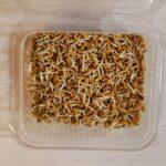 Sprouts Methi-200 gms